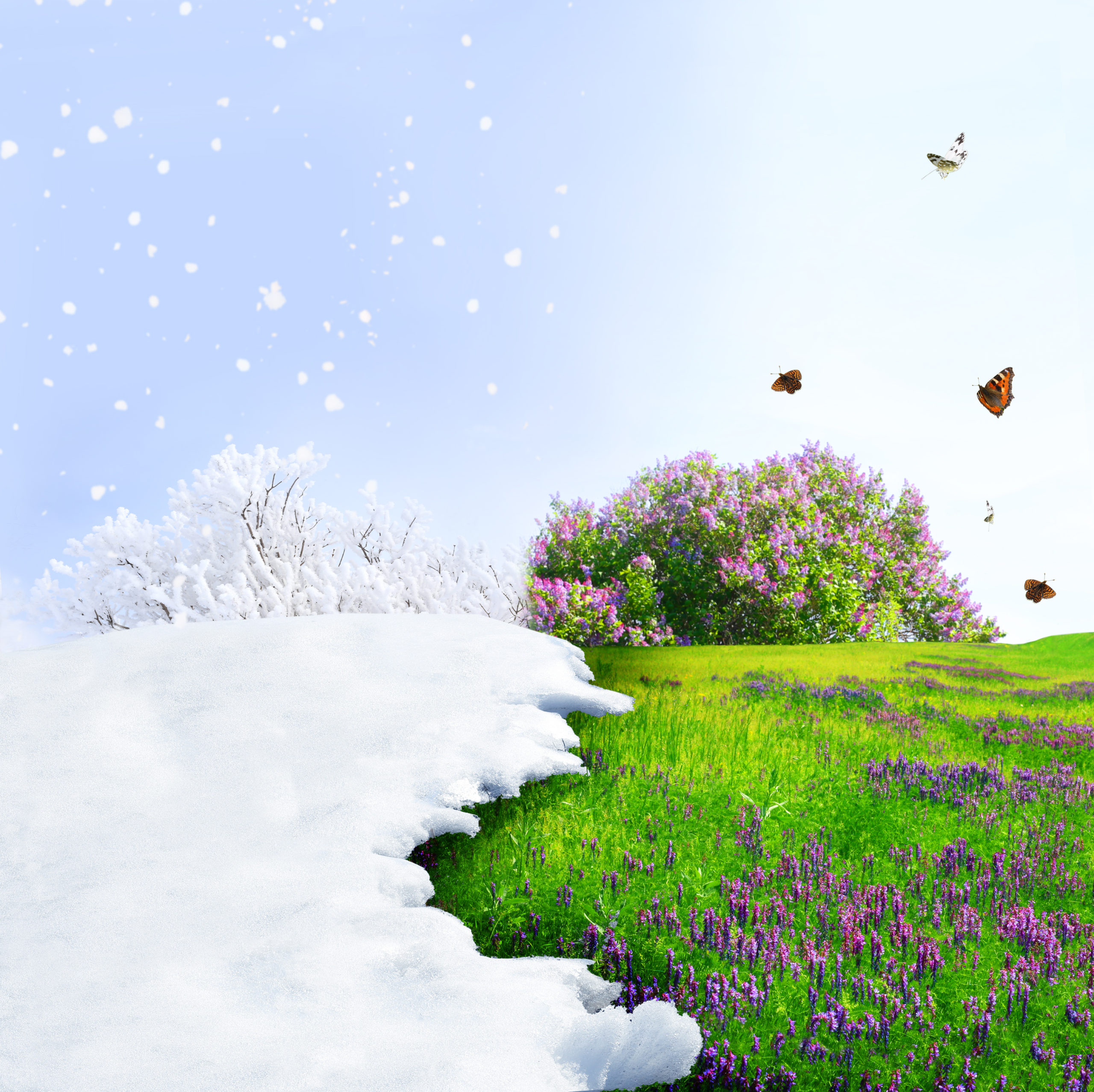 Season change from winter to spring