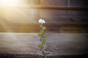 2022, année spirituelle ! ou pas…